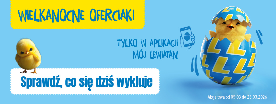 Slidery lv1 wizerunkowy.jpg